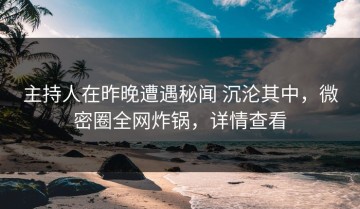 主持人在昨晚遭遇秘闻 沉沦其中，微密圈全网炸锅，详情查看