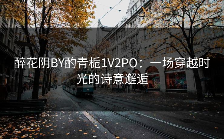 醉花阴BY酌青栀1V2PO：一场穿越时光的诗意邂逅