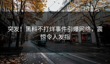 突发！黑料不打烊事件引爆网络，震惊令人发指