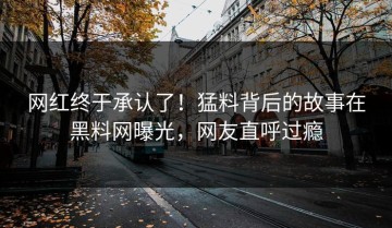 网红终于承认了！猛料背后的故事在黑料网曝光，网友直呼过瘾