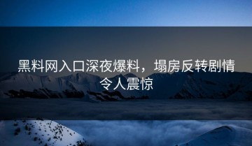 黑料网入口深夜爆料，塌房反转剧情令人震惊