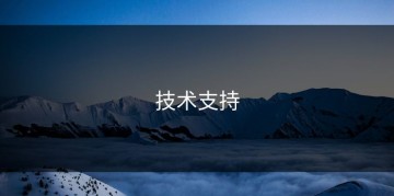 技术支持
