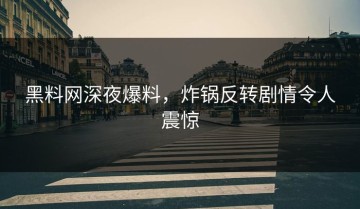 黑料网深夜爆料，炸锅反转剧情令人震惊