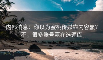 内部消息：你以为蜜桃传媒靠内容赢？不，很多账号赢在选题库