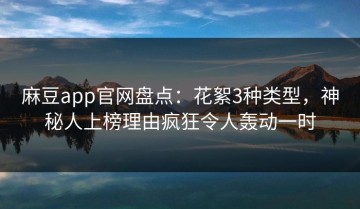 麻豆app官网盘点：花絮3种类型，神秘人上榜理由疯狂令人轰动一时