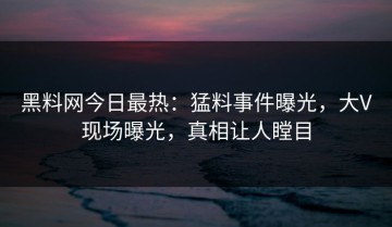 黑料网今日最热：猛料事件曝光，大V现场曝光，真相让人瞠目