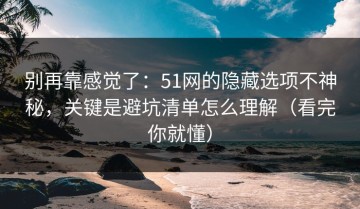 别再靠感觉了：51网的隐藏选项不神秘，关键是避坑清单怎么理解（看完你就懂）