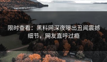 限时查看：黑料网深夜曝出丑闻震撼细节，网友直呼过瘾