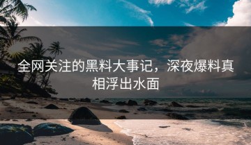 全网关注的黑料大事记，深夜爆料真相浮出水面