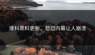 爆料黑料更新，怒怼内幕让人崩溃