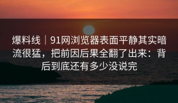爆料线｜91网浏览器表面平静其实暗流很猛，把前因后果全翻了出来：背后到底还有多少没说完