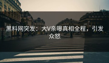 黑料网突发：大V亲曝真相全程，引发众怒