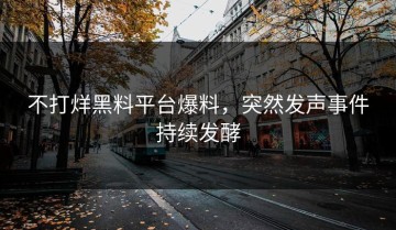 不打烊黑料平台爆料，突然发声事件持续发酵