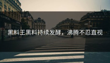黑料王黑料持续发酵，沸腾不忍直视