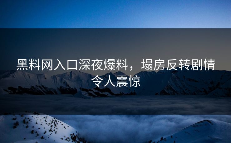 黑料网入口深夜爆料，塌房反转剧情令人震惊