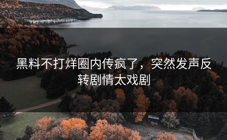 黑料不打烊圈内传疯了，突然发声反转剧情太戏剧