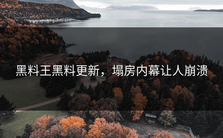 黑料王黑料更新，塌房内幕让人崩溃