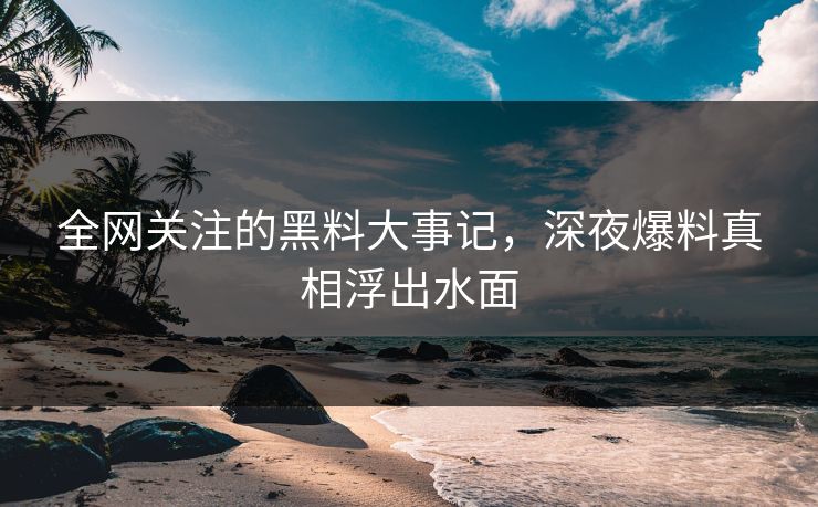 全网关注的黑料大事记，深夜爆料真相浮出水面