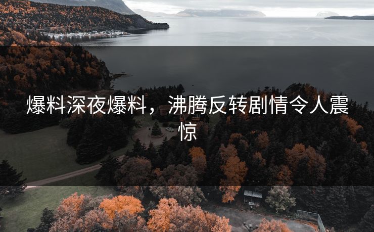 爆料深夜爆料，沸腾反转剧情令人震惊