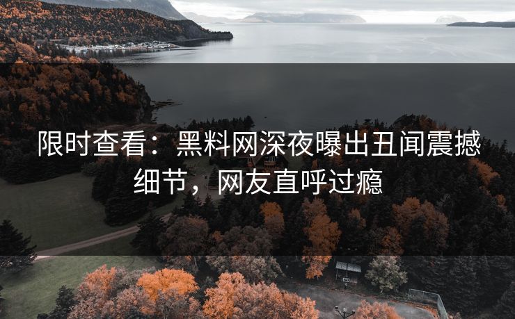 限时查看：黑料网深夜曝出丑闻震撼细节，网友直呼过瘾