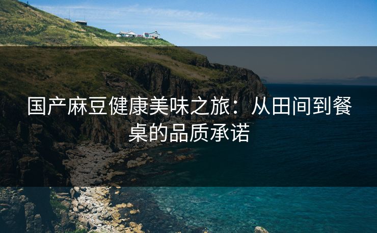 国产麻豆健康美味之旅：从田间到餐桌的品质承诺